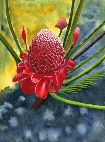 Rose d'Amazonie